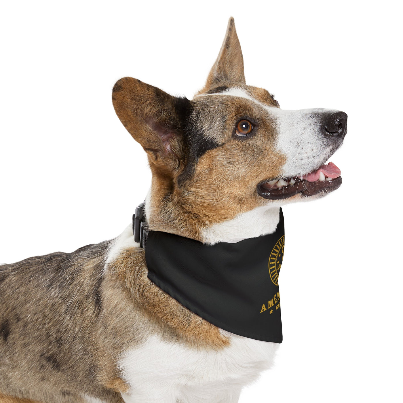 2nd Amendment - Pet Bandana Collar